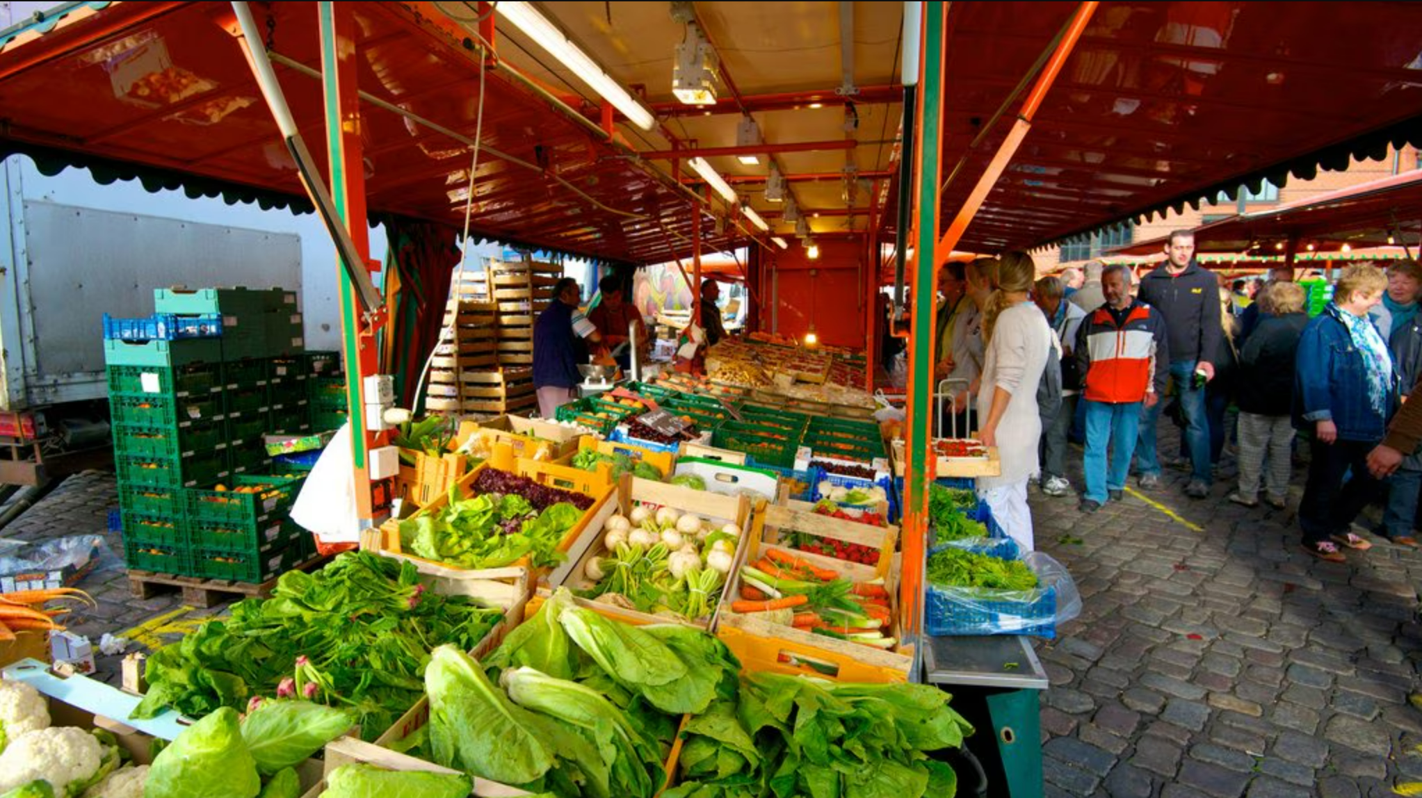 Hamburg Fish Market Visit